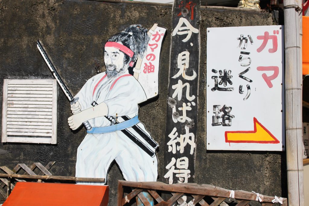筑波山  ガマ