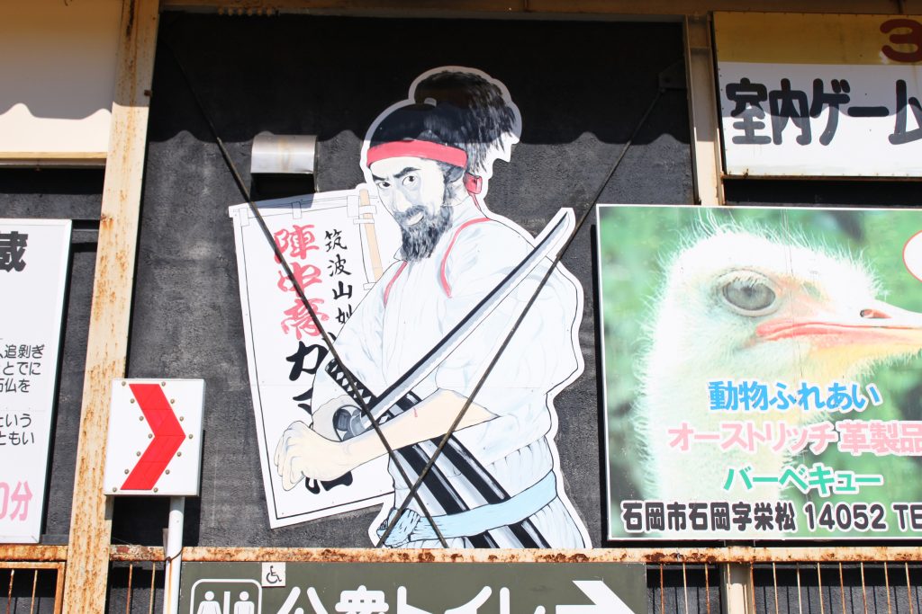 筑波山  ガマ