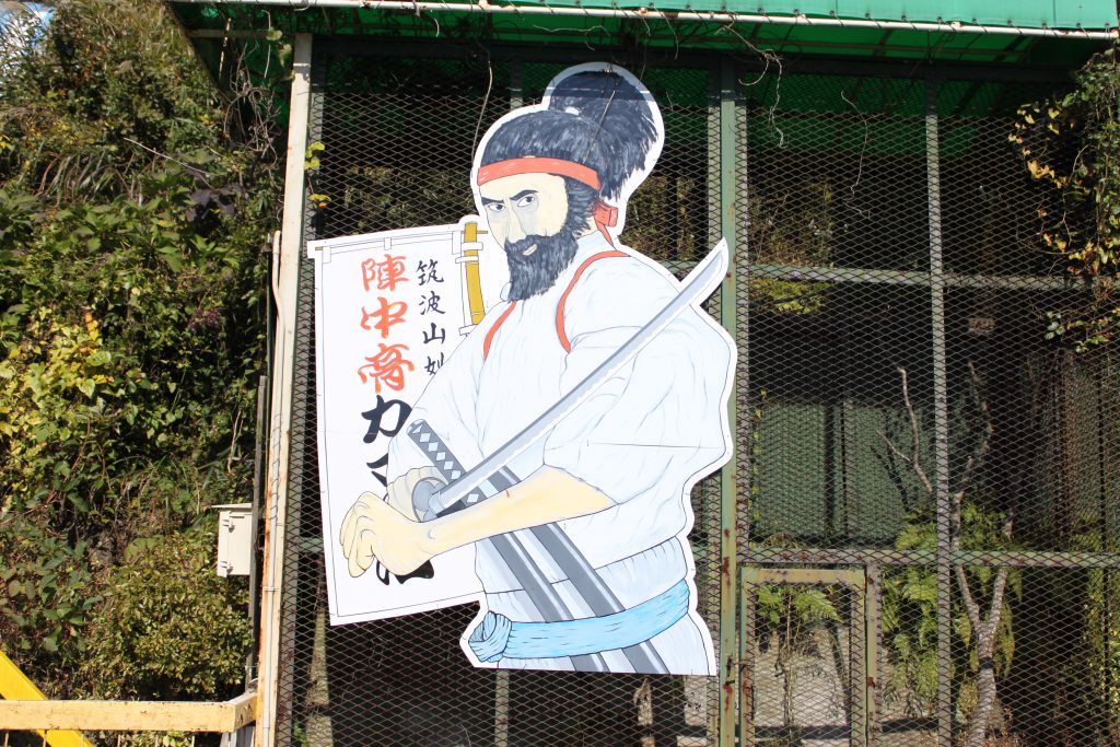 筑波山  ガマ