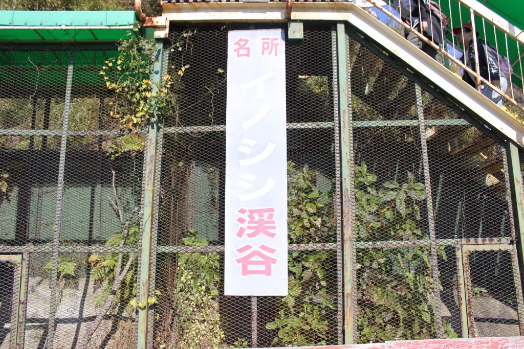 筑波山