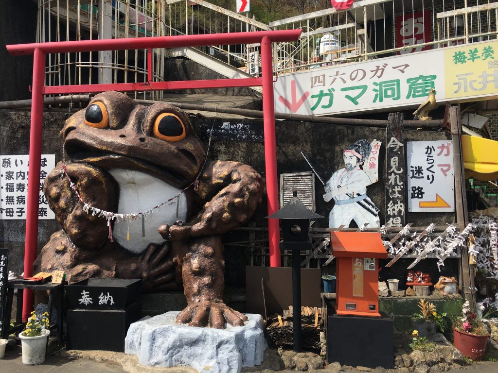 筑波山  ガマ