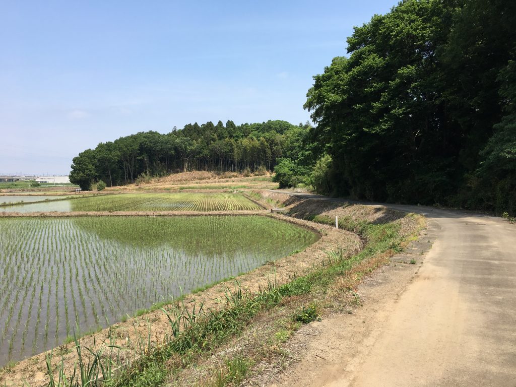 茨城県筑波市