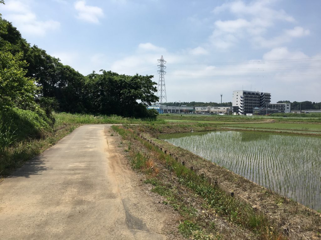 茨城県筑波市