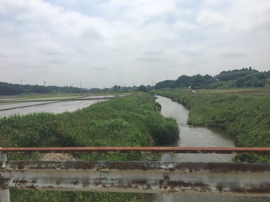 茨城県筑波市