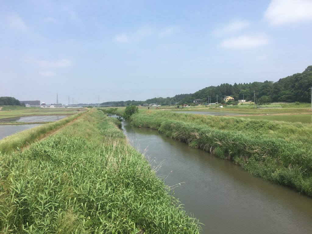 茨城県筑波市