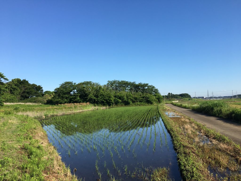 茨城県筑波市