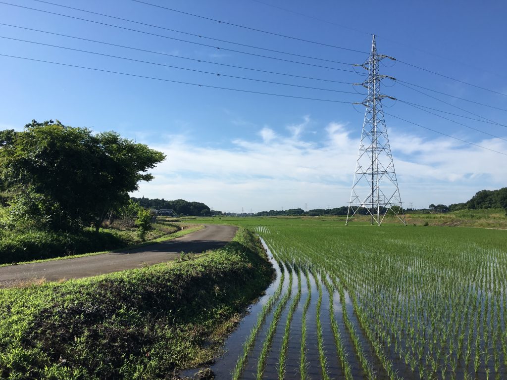 茨城県筑波市