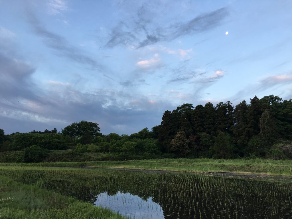 茨城県筑波市