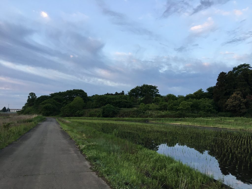 茨城県筑波市