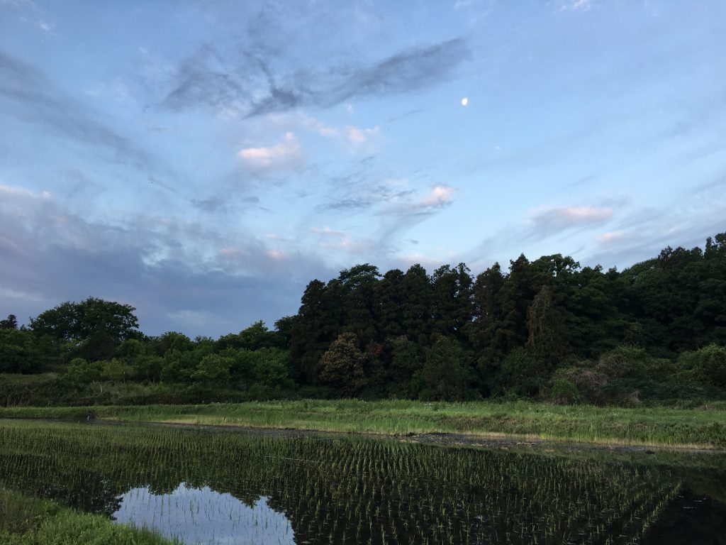 茨城県筑波市