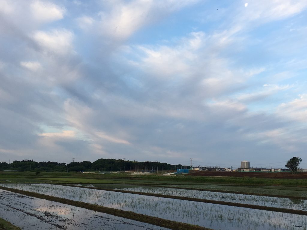 茨城県筑波市