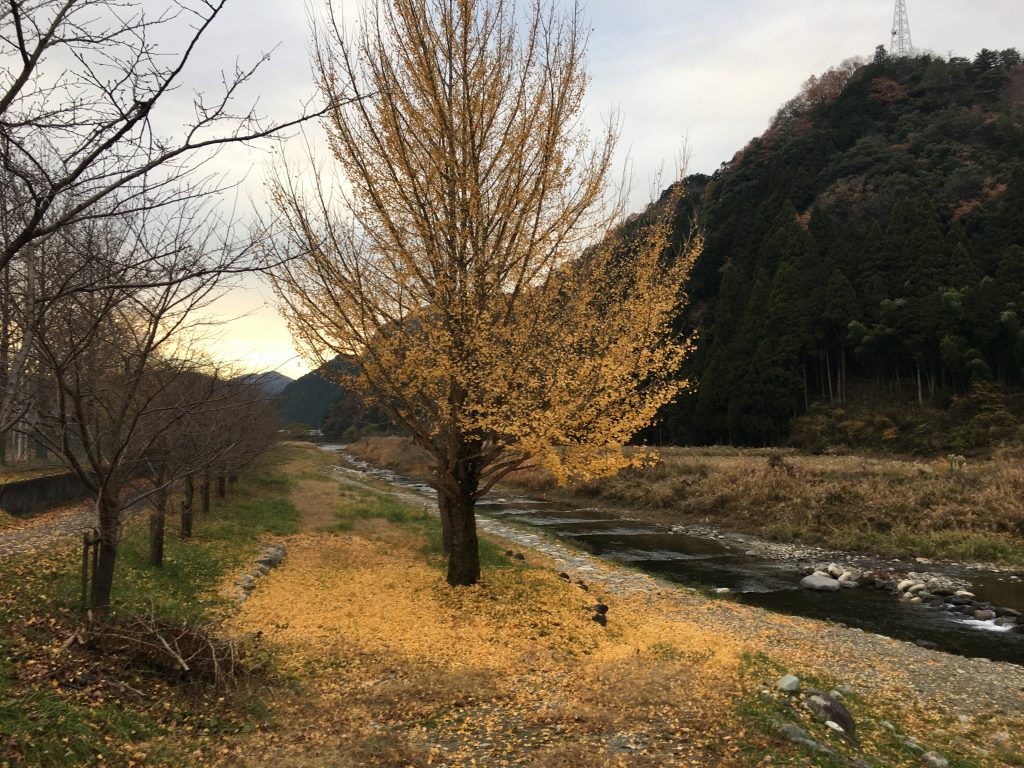 若桜鉄道若桜線 若桜駅